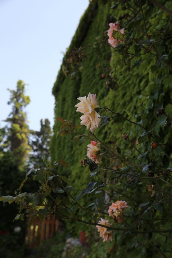 Sunrise Villa Rapallo Exterior photo